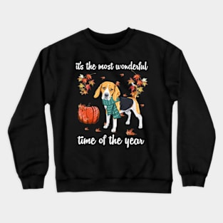 Beagle Dog Autumn Fall Most Wonderful Time Maple Gift Crewneck Sweatshirt